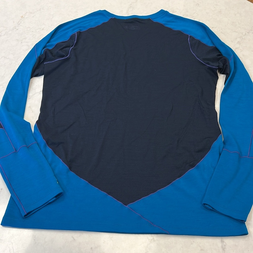 Smartwool Women's Merino Sport 250 Long Sleeve Crew size L - Picture 6 of 7